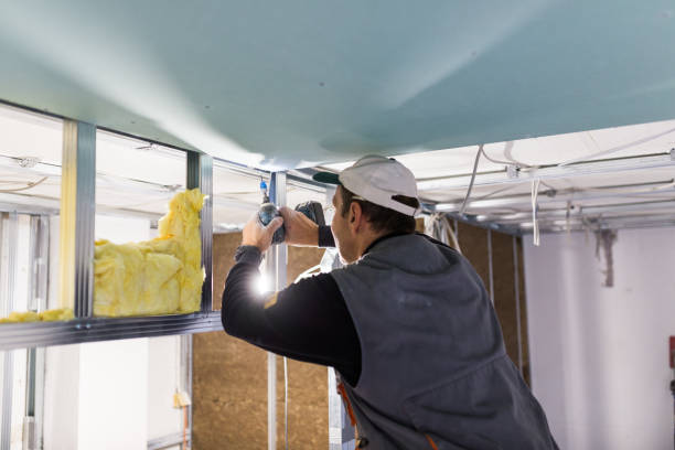 Best Batt and Roll Insulation  in Bnchard, LA