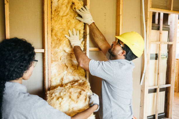 Best Insulation Air Sealing  in Bnchard, LA