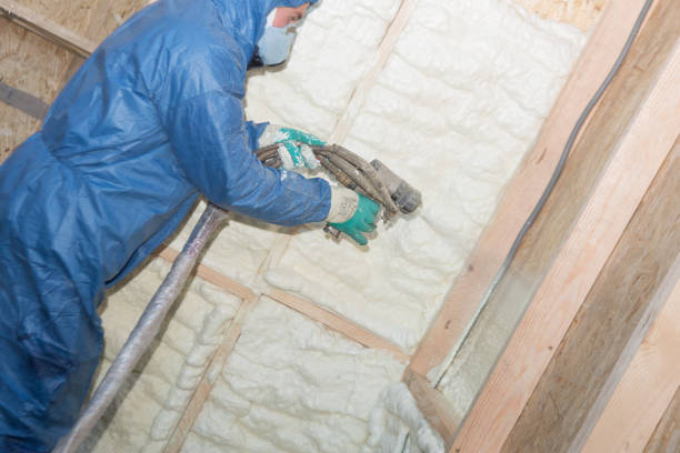 Best Soundproof Insulation  in Bnchard, LA